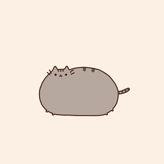 「猫丸🐈🐾」のユーザーアイコン