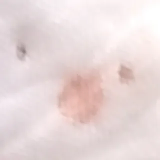 「くろは」のユーザーアイコン