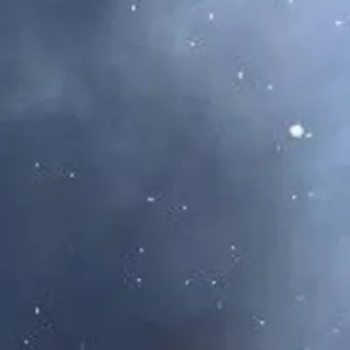 「tuki.」のユーザーアイコン