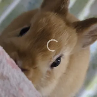 「ちる」のユーザーアイコン