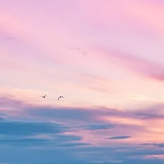 「秦　莉央＠もうすぐで卒業」のユーザーアイコン