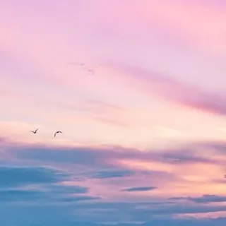 「秦　莉央＠この世の愚か者」のユーザーアイコン