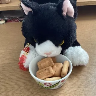 「ねこ」のユーザーアイコン