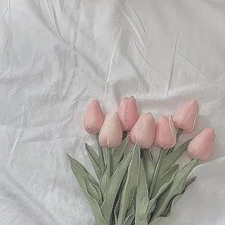 「spring」のユーザーアイコン