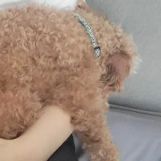 「くうはく」のユーザーアイコン