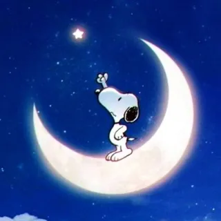 「れいんぼ〜」のユーザーアイコン