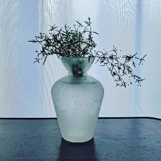 「天寧」のユーザーアイコン