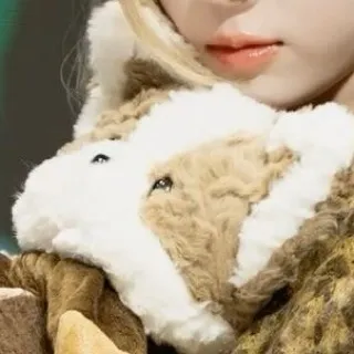 「わんか」のユーザーアイコン