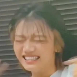 「いさにゃ」のユーザーアイコン