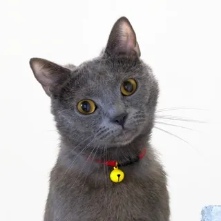 「おと😊」のユーザーアイコン