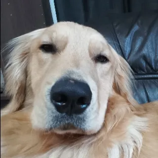 「まふぃん」のユーザーアイコン