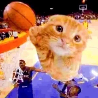 「ぬっ」のユーザーアイコン