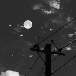 「星梨那」のユーザーアイコン