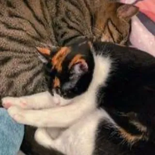 「千里」のユーザーアイコン