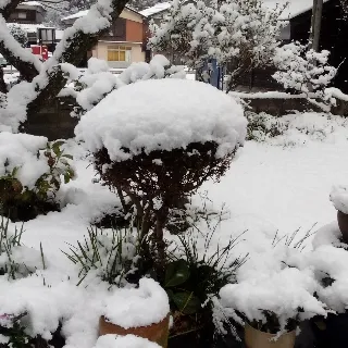 「ただの女子」のユーザーアイコン