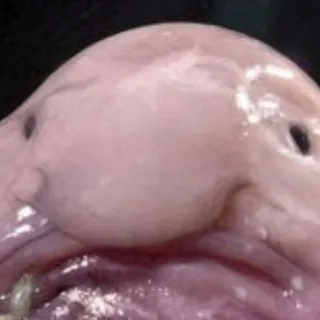 「みてね」のユーザーアイコン