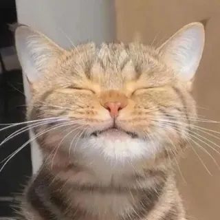 「相談相手」のユーザーアイコン