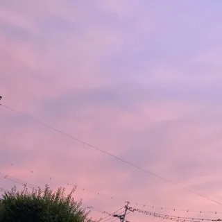 「よむ」のユーザーアイコン