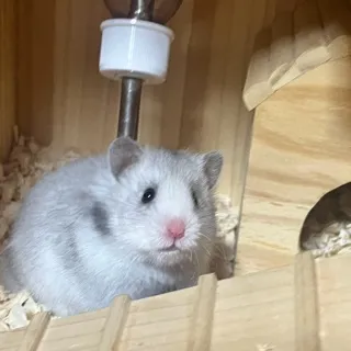 「ゆうな」のユーザーアイコン