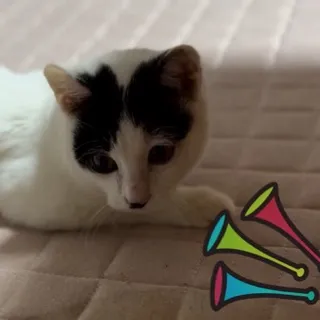 「れんとよぉぉぉ！」のユーザーアイコン