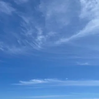 「りお」のユーザーアイコン