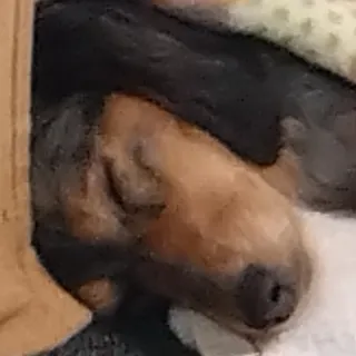 「たまご14」のユーザーアイコン