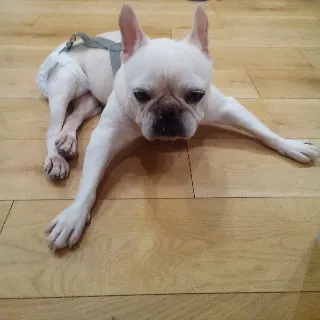 「しの」のユーザーアイコン