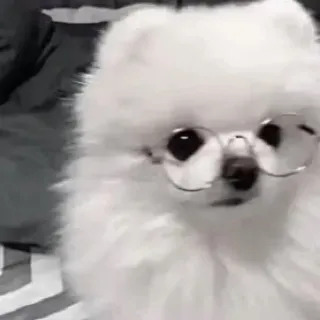 「がう」のユーザーアイコン