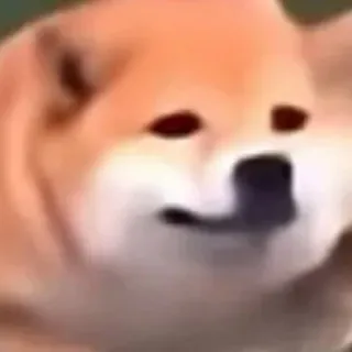 「一応これでも恐竜」のユーザーアイコン