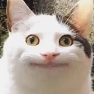 「🦖」のユーザーアイコン