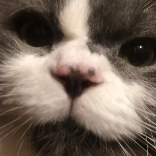 「ハル」のユーザーアイコン