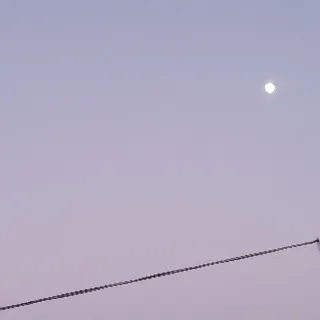 「あや」のユーザーアイコン