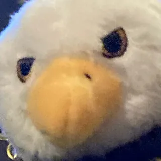 「ぽよふりくと」のユーザーアイコン