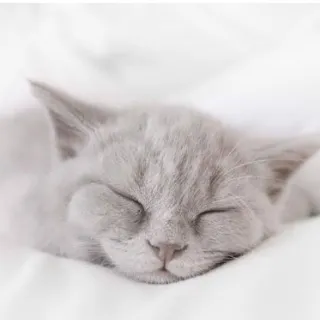 「ゆな」のユーザーアイコン