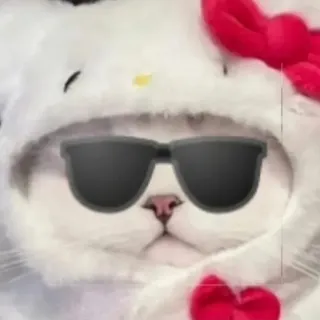 「り の あ 🎀」のユーザーアイコン