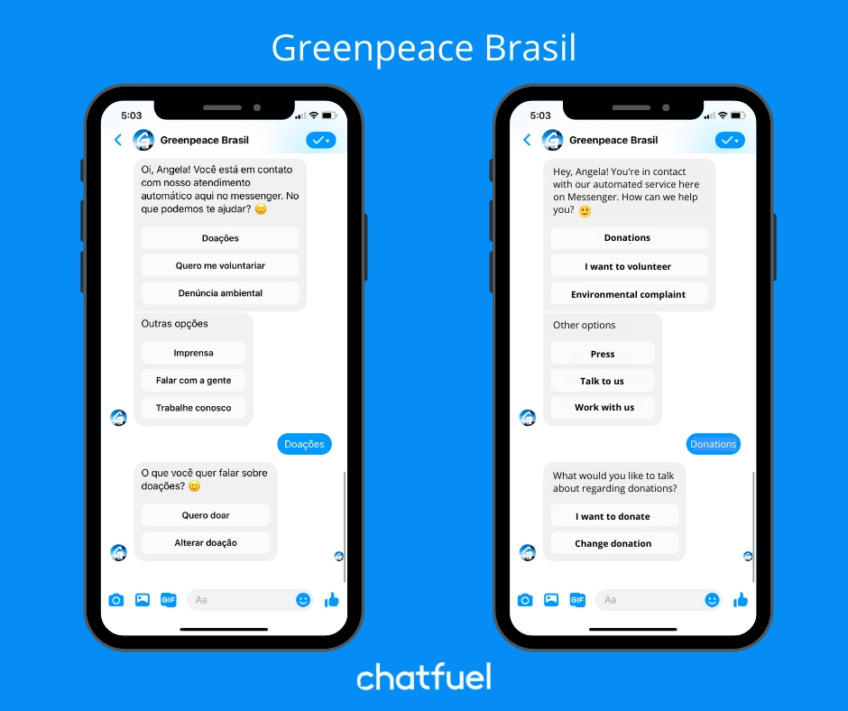 Nonprofit chatbot examples