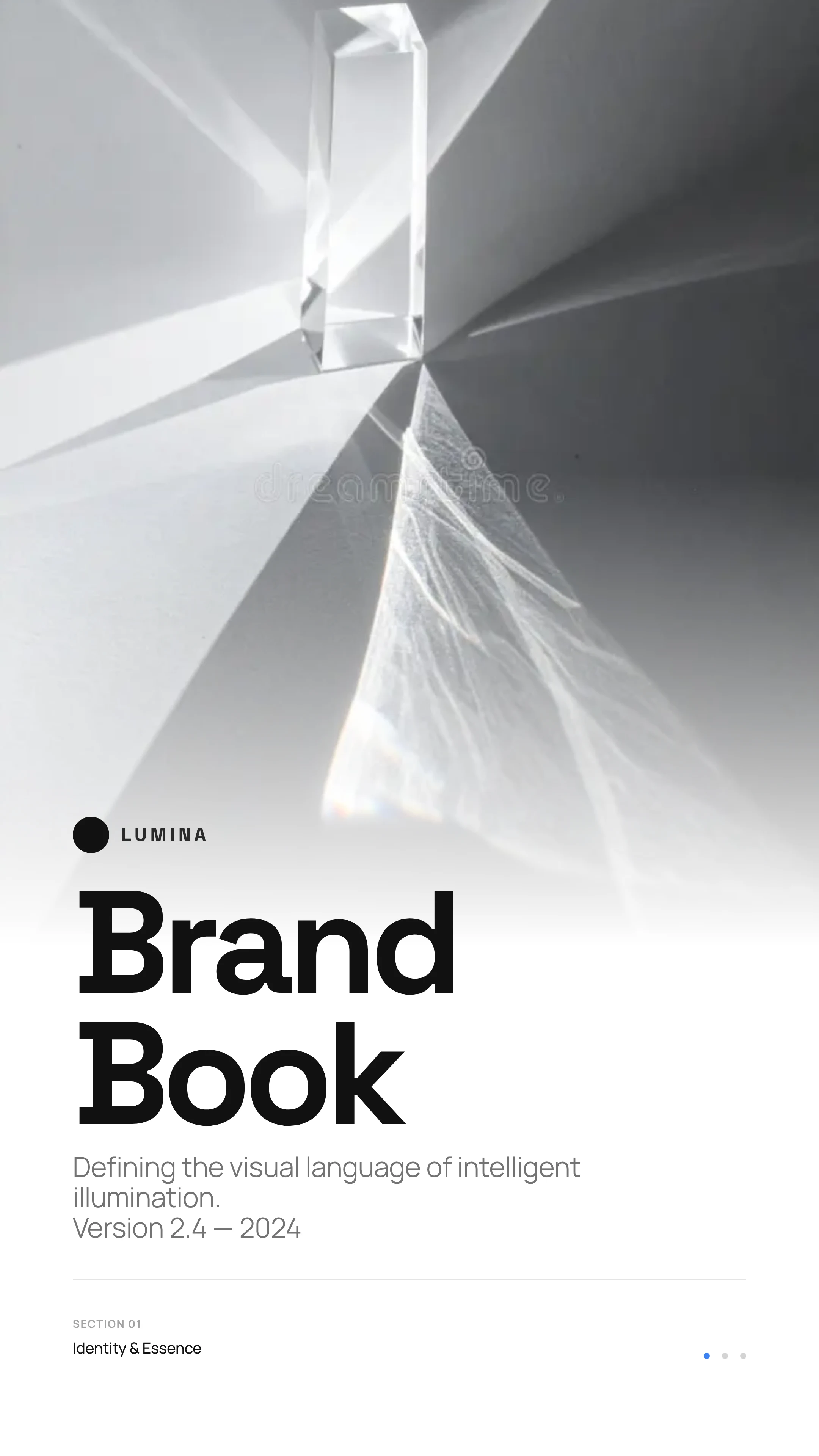 Product Brand Book: cover