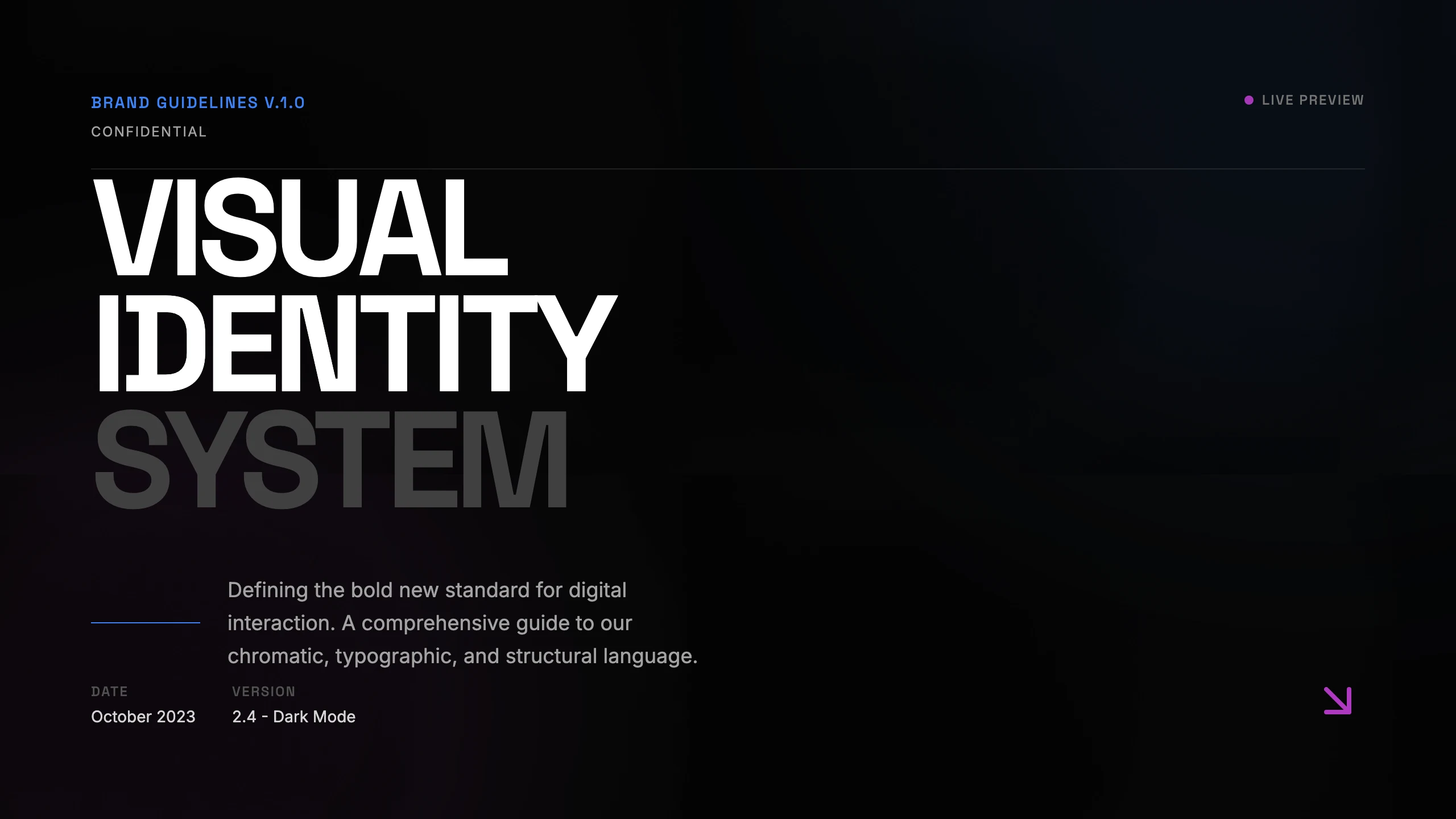 Visual Identity: cover