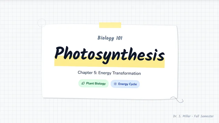 Chapter Summary