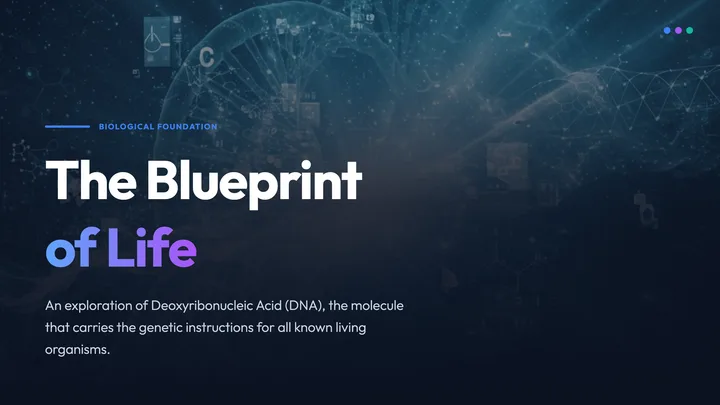 DNA Structure