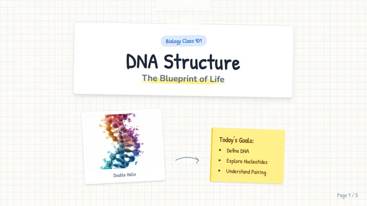 DNA Structure