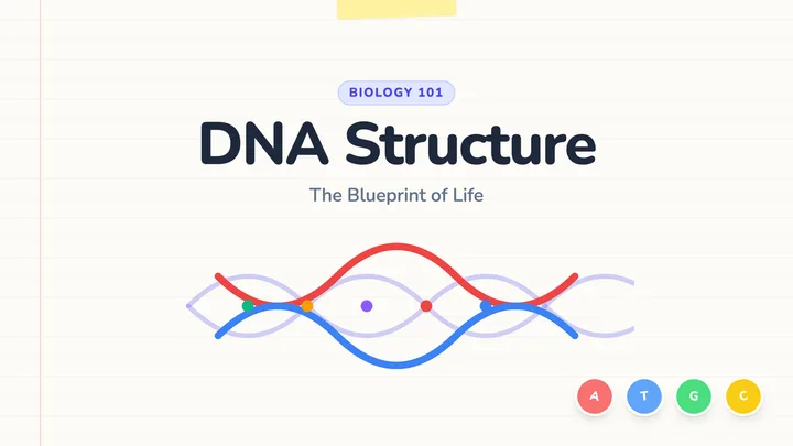 DNA Structure