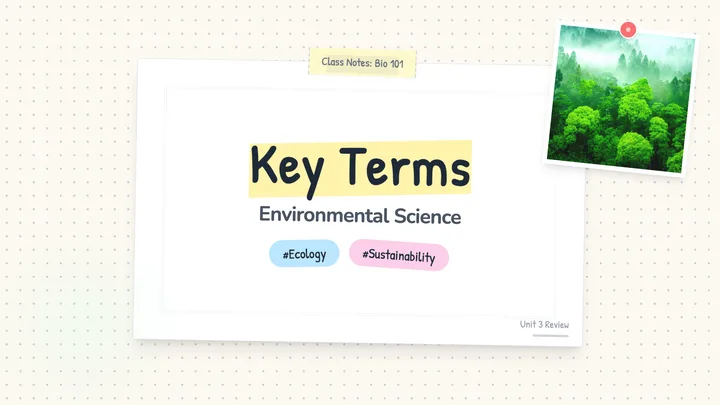 Key Terms