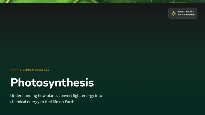 Photosynthesis Concept