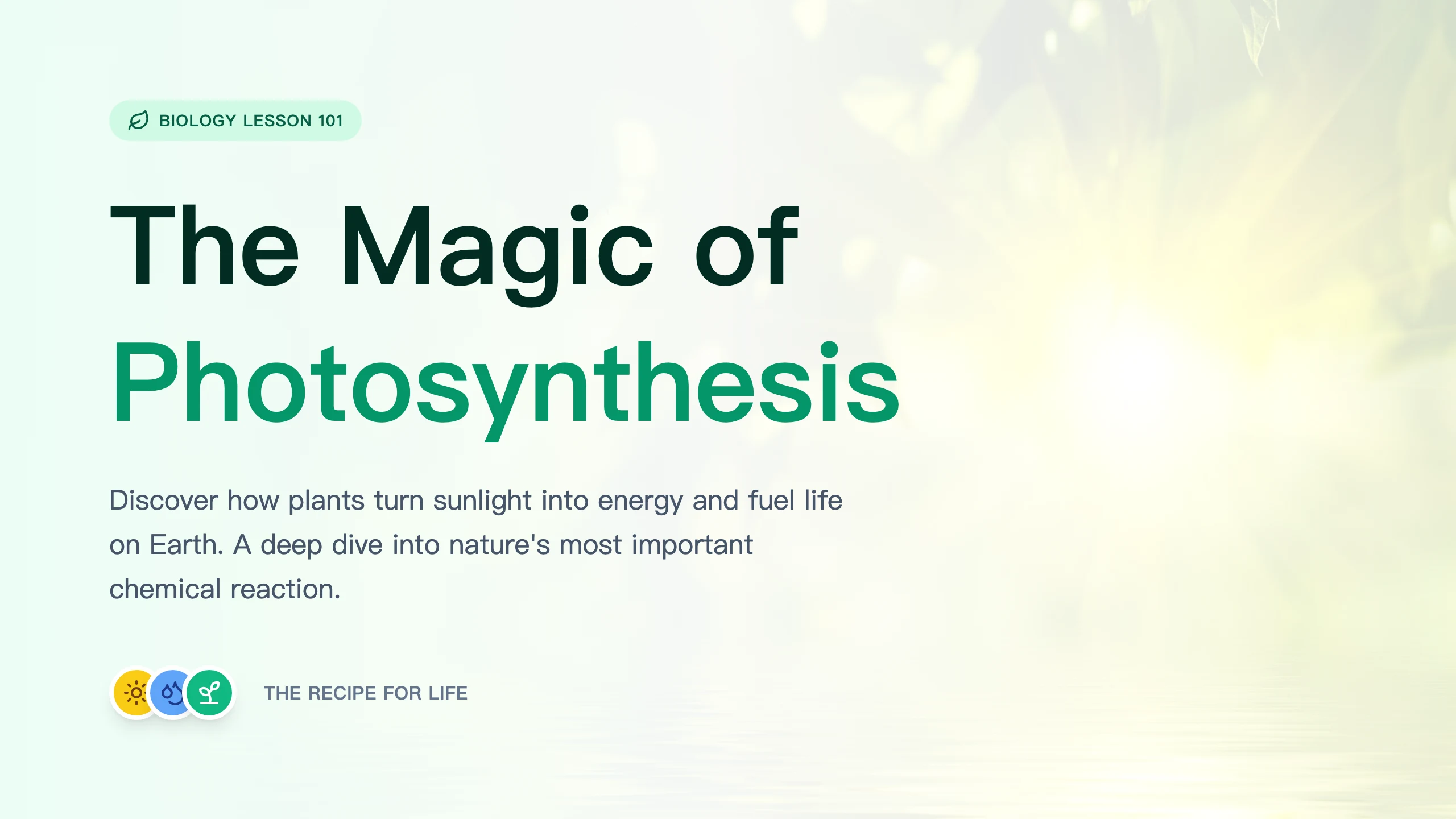 Photosynthesis Lesson: cover