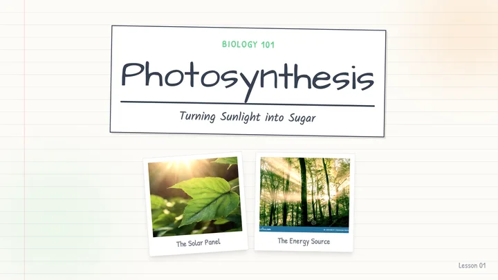 Photosynthesis Lesson