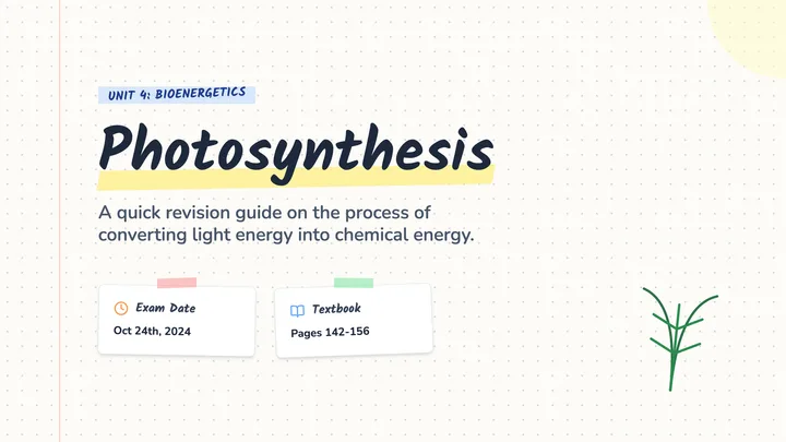 Revision Notes