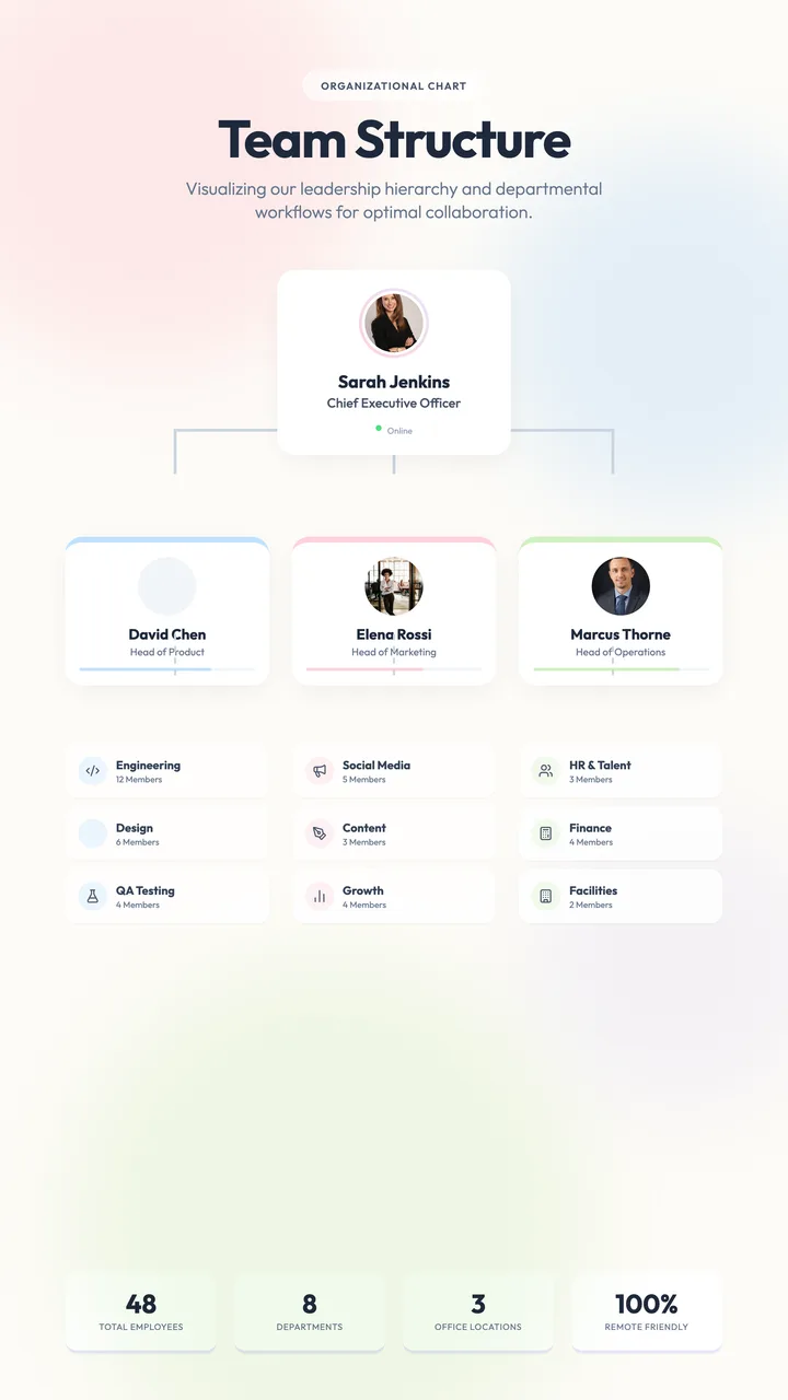 Team Structure