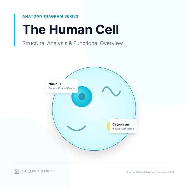 Cell Diagram