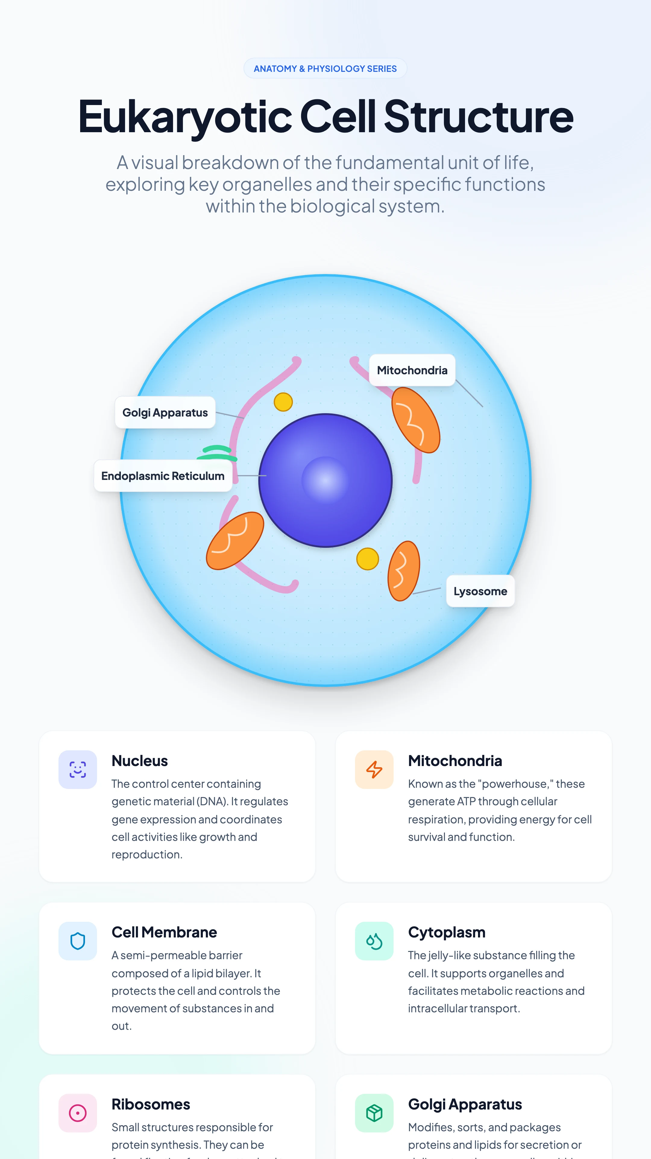 Cell Diagram: cover